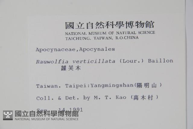 蘿芙木藏品圖，第2張