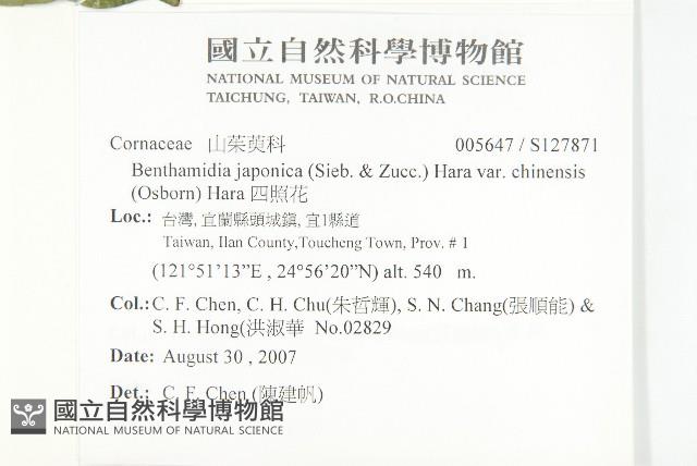 四照花藏品圖，第2張