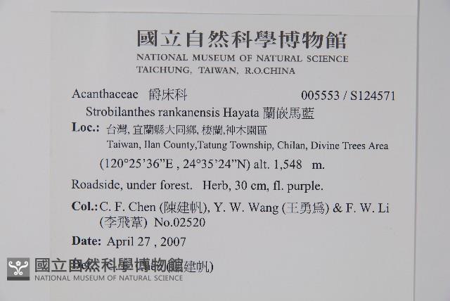 蘭嵌馬藍藏品圖，第2張