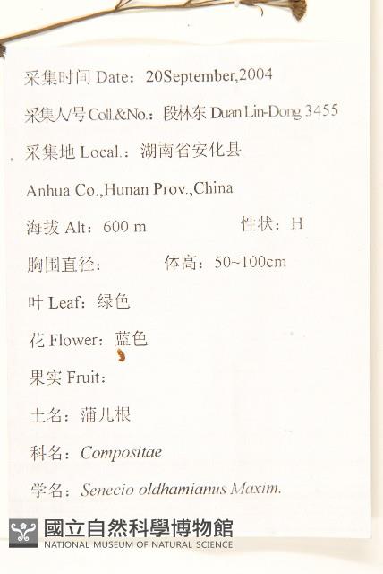 蒲兒根藏品圖，第2張