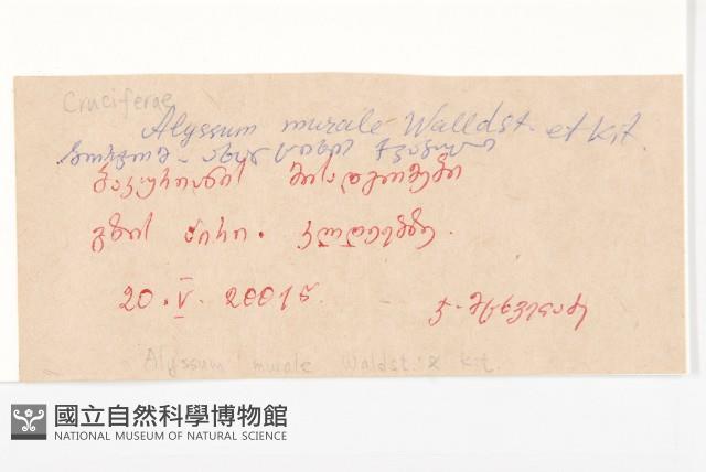 登錄號:S097571藏品圖，第2張