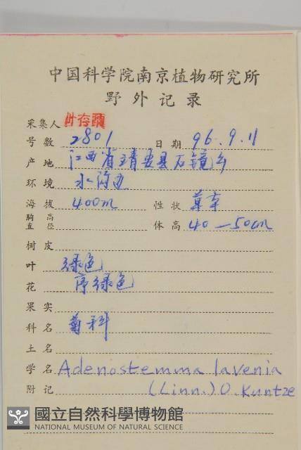 下田菊藏品圖，第2張