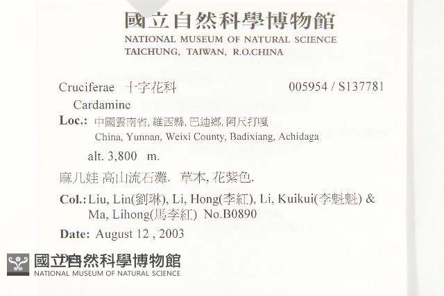 登錄號:S137781藏品圖，第2張