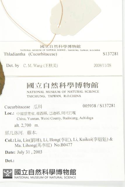 登錄號:S137281藏品圖，第2張