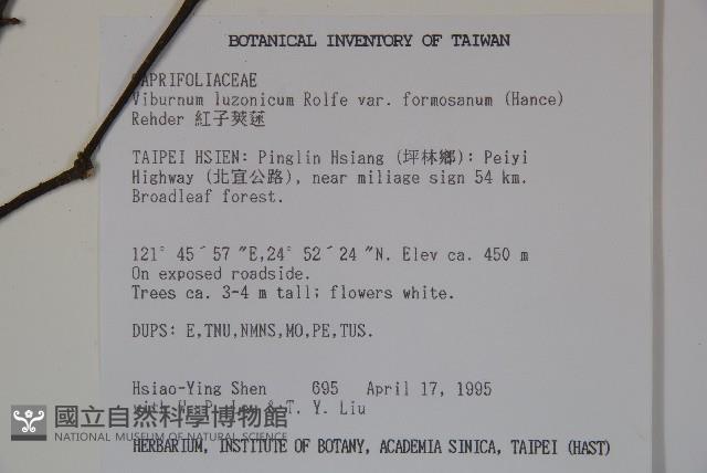 紅子莢迷藏品圖，第2張