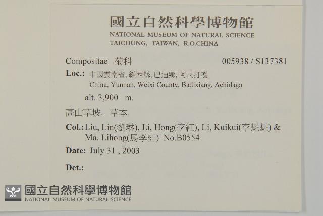 登錄號:S137381藏品圖，第2張