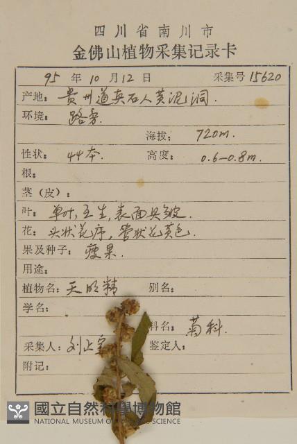 Accession Number:S047381 Collection Image, Figure 2, Total 3 Figures