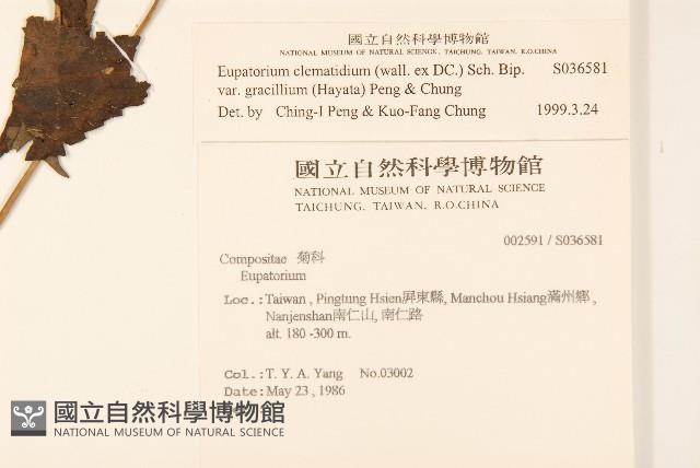 高士佛澤蘭藏品圖，第2張