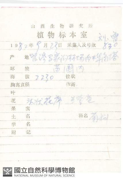 阿爾泰狗哇花藏品圖，第2張