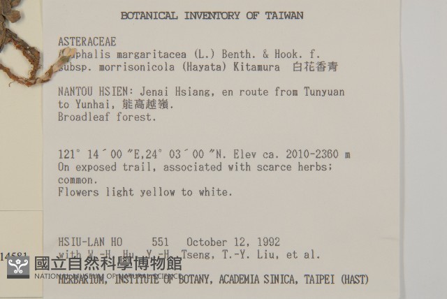 玉山抱莖籟簫藏品圖，第2張