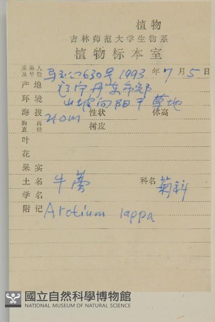 牛蒡藏品圖，第2張