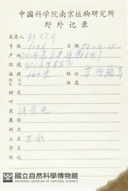 光高梁藏品圖，第2張