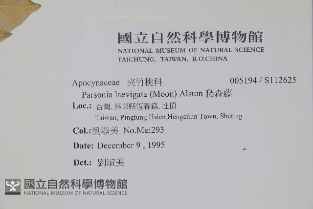 爬森藤藏品圖，第2張