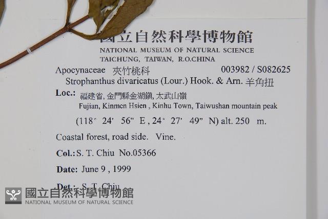 羊角扭藏品圖，第2張