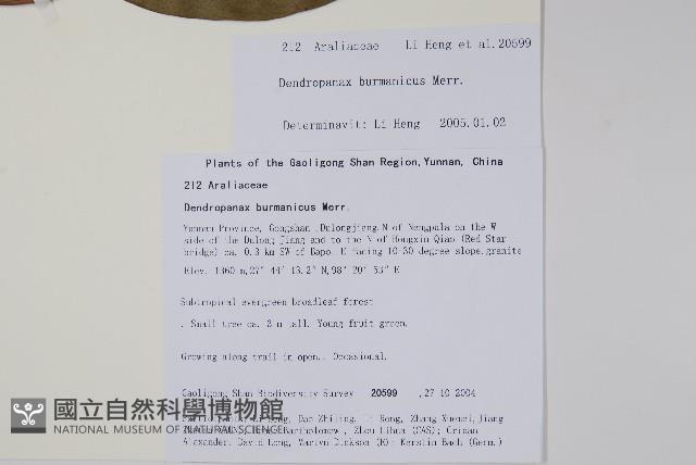 登錄號:S105625藏品圖，第2張