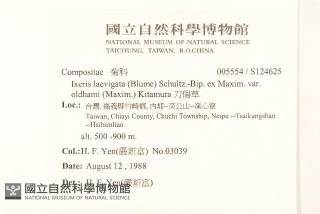 刀傷草藏品圖，第2張