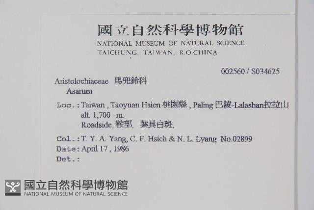 登錄號:S034625藏品圖，第2張