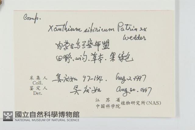 Accession Number:S056025 Collection Image, Figure 2, Total 2 Figures