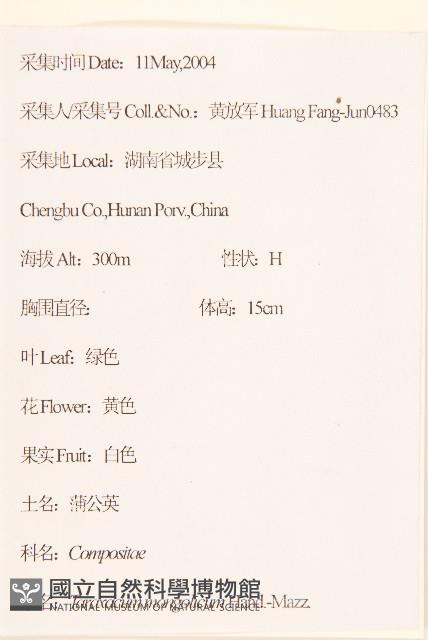 蒲公英藏品圖，第2張