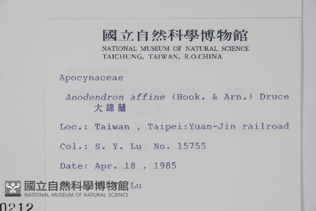 小錦蘭藏品圖，第2張