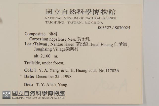 黃金珠藏品圖，第2張