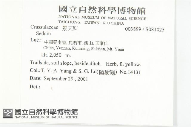 登錄號:S081025藏品圖，第2張