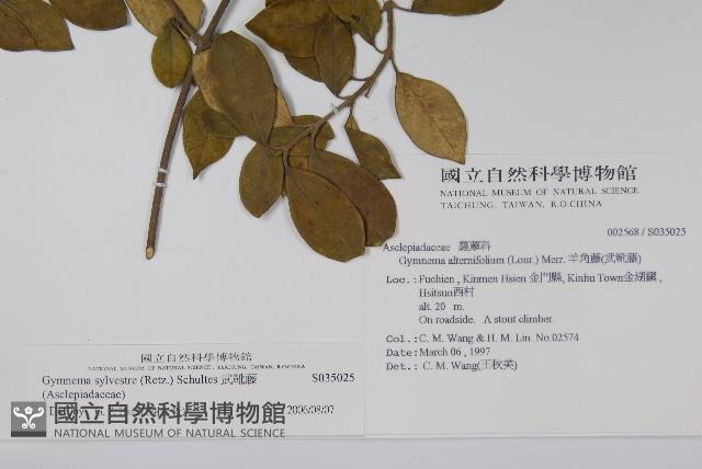 武靴藤藏品圖，第2張