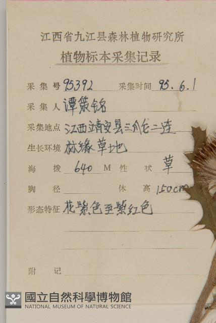 小薊藏品圖，第2張