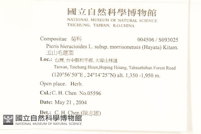 玉山毛蓮菜藏品圖，第2張