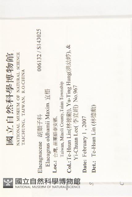 宜梧藏品圖，第2張