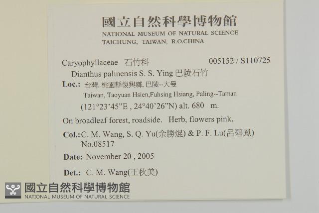 巴陵石竹藏品圖，第2張