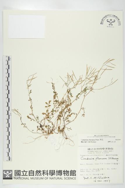 焊菜藏品圖，第1張