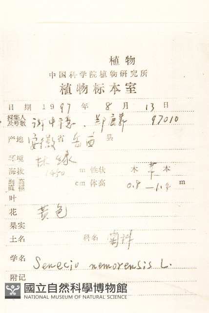黃菀藏品圖，第2張