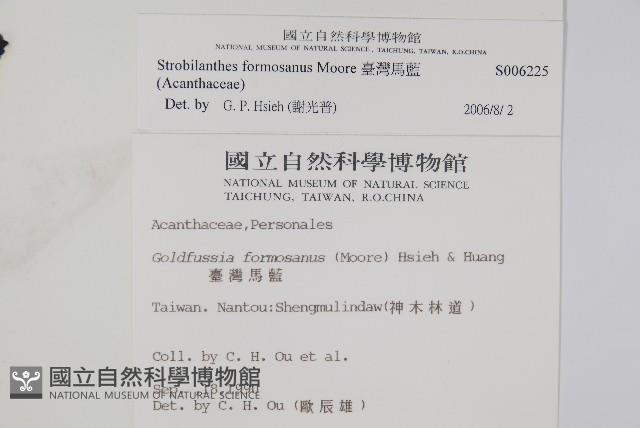 臺灣馬藍藏品圖，第2張