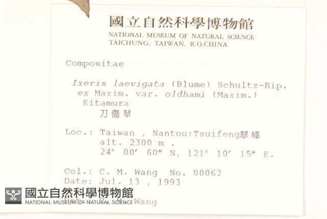 刀傷草藏品圖，第2張