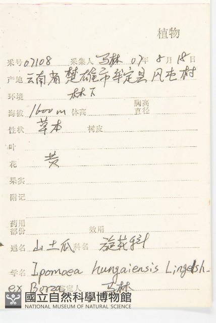 山土瓜藏品圖，第2張