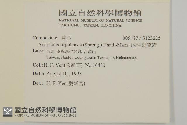 尼泊爾籟簫藏品圖，第2張