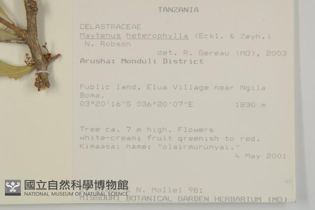 登錄號:S093225藏品圖，第2張