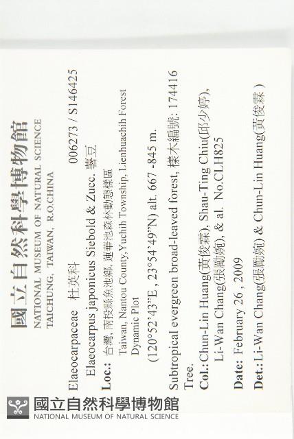 薯豆藏品圖，第2張