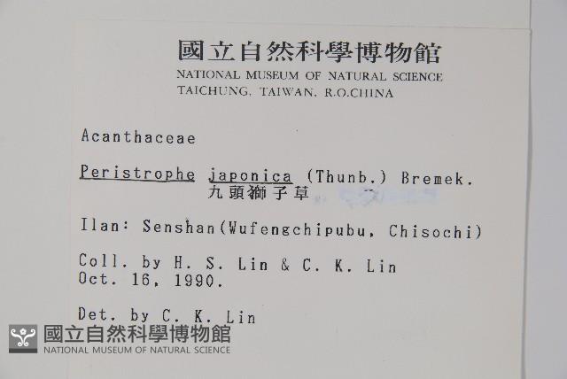 九頭獅子草藏品圖，第2張