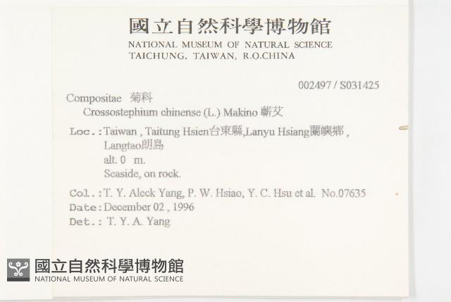 蘄艾、芙蓉菊藏品圖，第2張