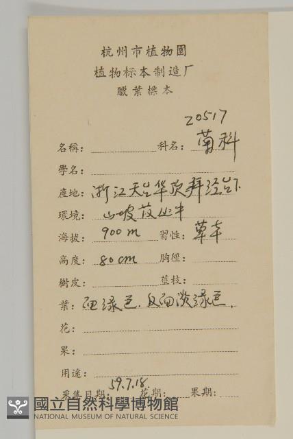 山白蘭藏品圖，第2張