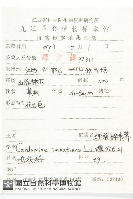 水花菜藏品圖，第2張