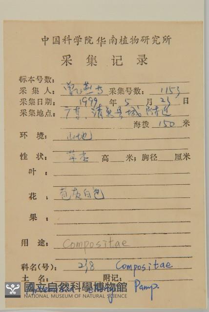 南毛蒿藏品圖，第2張