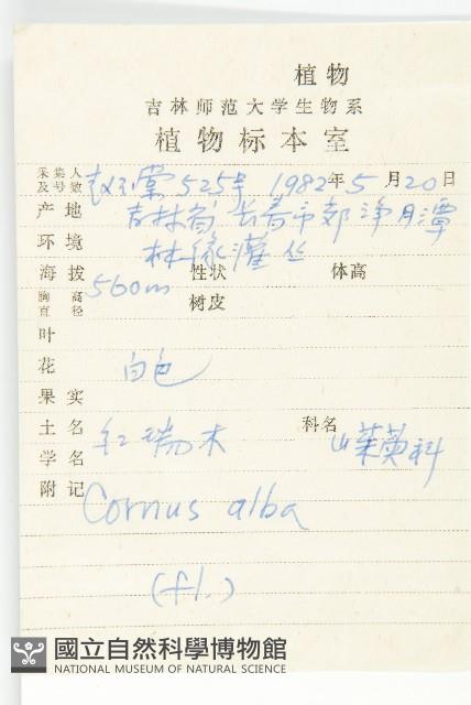 紅瑞木藏品圖，第2張