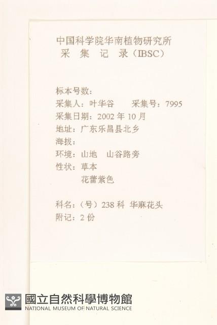 華麻花頭藏品圖，第2張