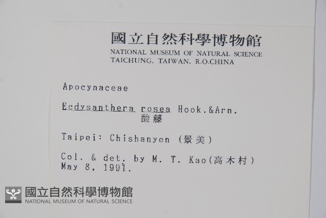 酸藤藏品圖，第2張