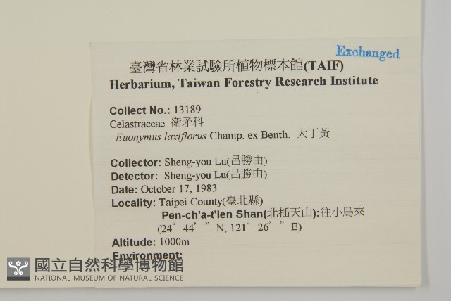 大丁黃藏品圖，第2張