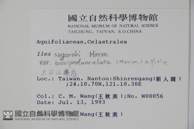 太平山冬青藏品圖，第2張