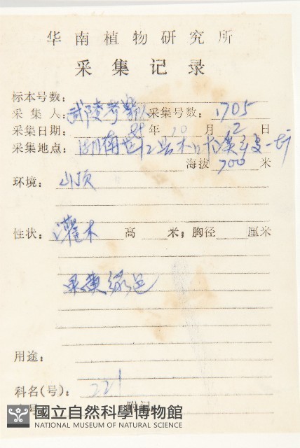 油柿藏品圖，第2張